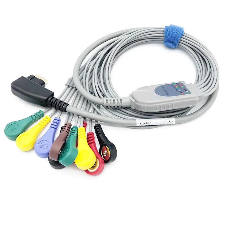DMS 300-4a, Holter ecg 케이블, 10 리드와 호환 가능