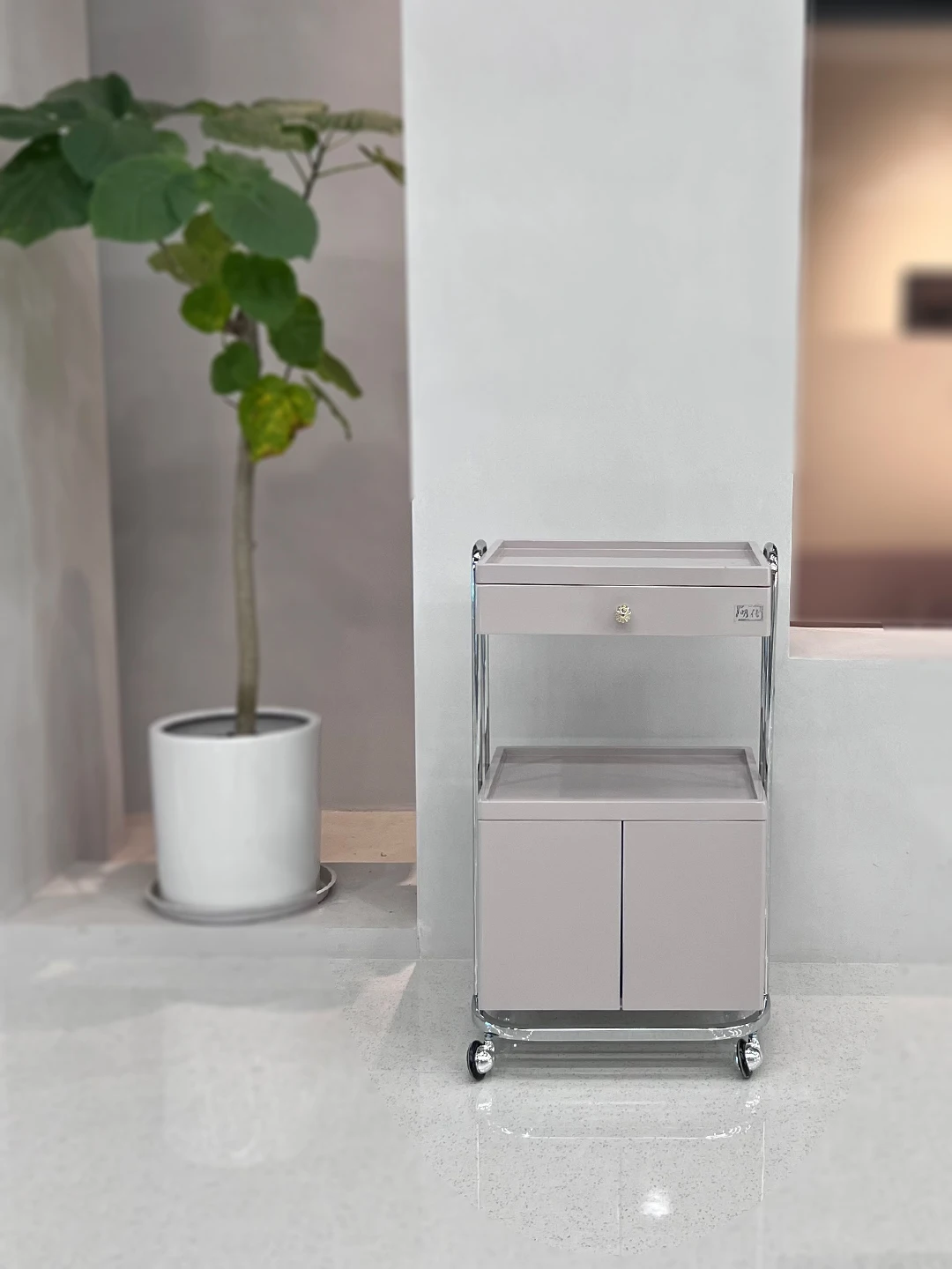 Description Picture 4 of itemTattoo Beauty Salon Trolley Utility Barber Hair Utility Salon Trolley Cosmetic Spa Carrito Auxiliar Salon Furniture BL50ST