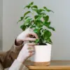 4pcs Flowerpot Removable Bottom Round Flower Pot Detachable Bottom Flower Pot Home Supplies Breathable Flower Pot 3