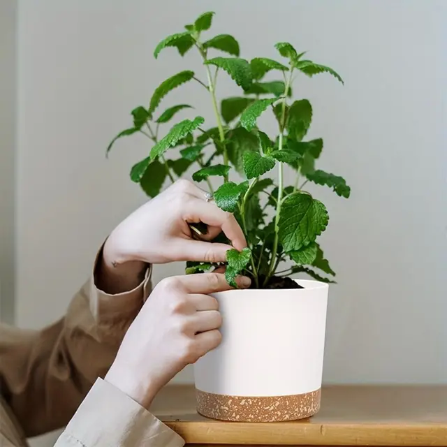 4pcs Flowerpot Removable Bottom Round Flower Pot Detachable Bottom Flower Pot Home Supplies Breathable Flower Pot 3
