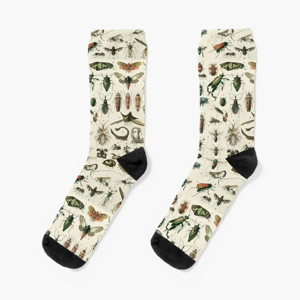 Insects 2 Socks Non-slip cycling gifts Luxury Woman Socks Men's