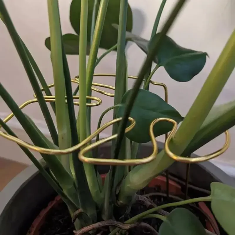 Monstera Support Pole Sturdy Shape Support Pile Easy Installation Decorative Plant Stand Bamboo shaped plant holder plant stand