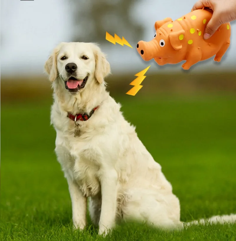 Pet Dog Sounding Piggy Squeak Bite Resistant Toys for Small Large Dog Interactive Puppy Toy Chew Toy Pet Tooth Clean Accessories 2