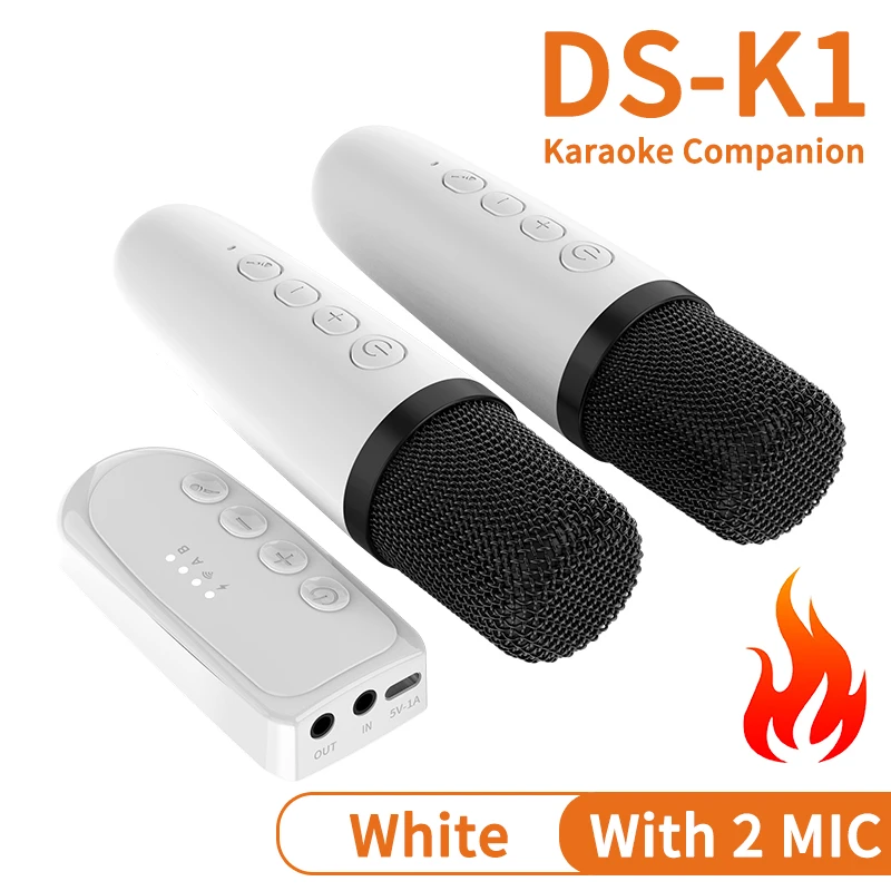 White With 2 MIC