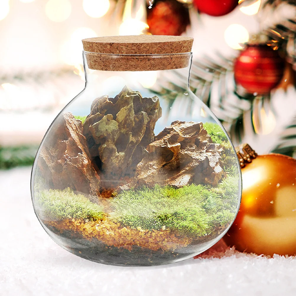 Round Glass Terrarium Creative Desktop Micro Landscape Bottle Plant Vase Home Decor Ecological Moss Crafts Empty Jar Mini Garden 4