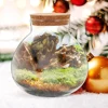Round Glass Terrarium Creative Desktop Micro Landscape Bottle Plant Vase Home Decor Ecological Moss Crafts Empty Jar Mini Garden 4