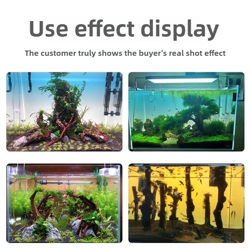 Fish Aquarium Acrylic Fish Tank Backdrop RGB Colourful Gradient Luminous APP Control Can Be Customised Size
