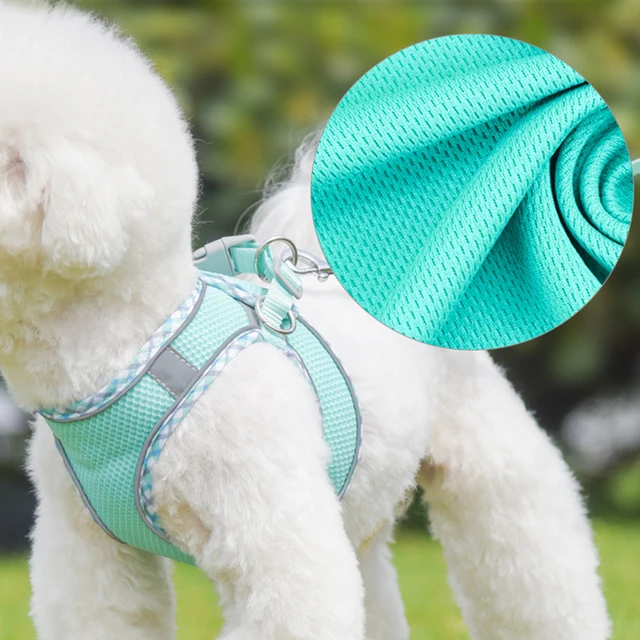 Outdoor Walking Pincher Dog Harness and Leash Set for Small Medium Dogs Chihuahua mascotas Vest Harnesses Pomerian Accessories 5