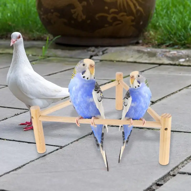 Papagei Standing Stick – Rutschfester Holz-Sitz Für Vogelkäfig, Training & Spiel