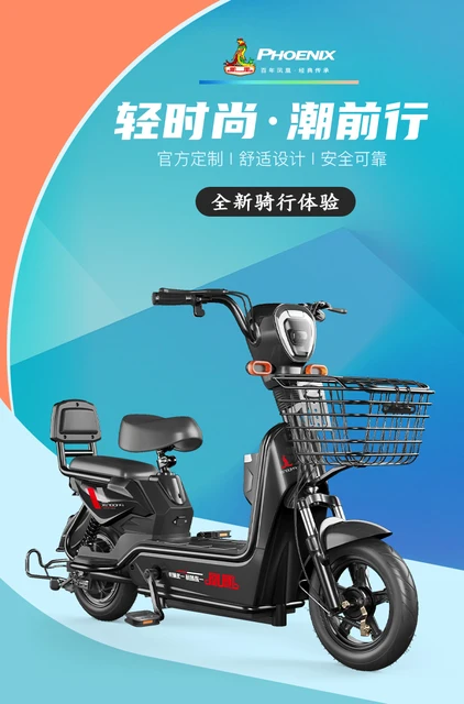 전기 자전거 소형 자동차, BAANFU, 150kg부터 200kg까지의 하중, 14인치 Rim, 48V 전압, 2021년 봄 출시, 최고 속도 25km/h 이하, 순수 전기 주행 거리 55km부터 65km까지, 배터리 용량 12ah, 최대 총 중량 54kg