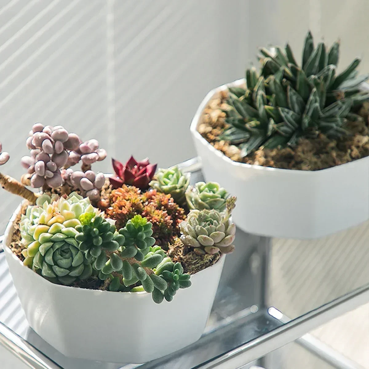 1pc-Simple Planter Large Holder