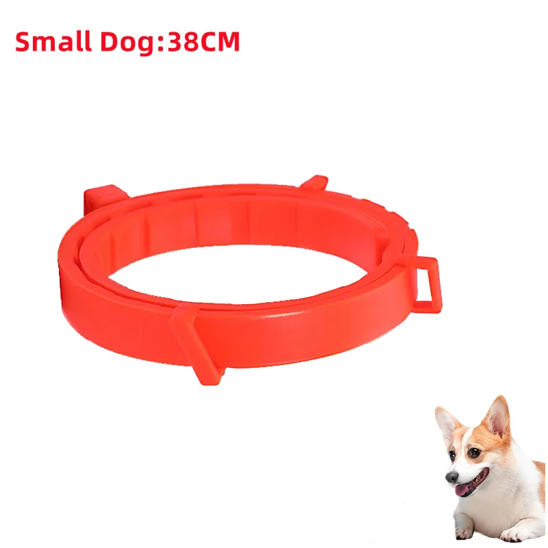 Small Dog-38cm Opp R