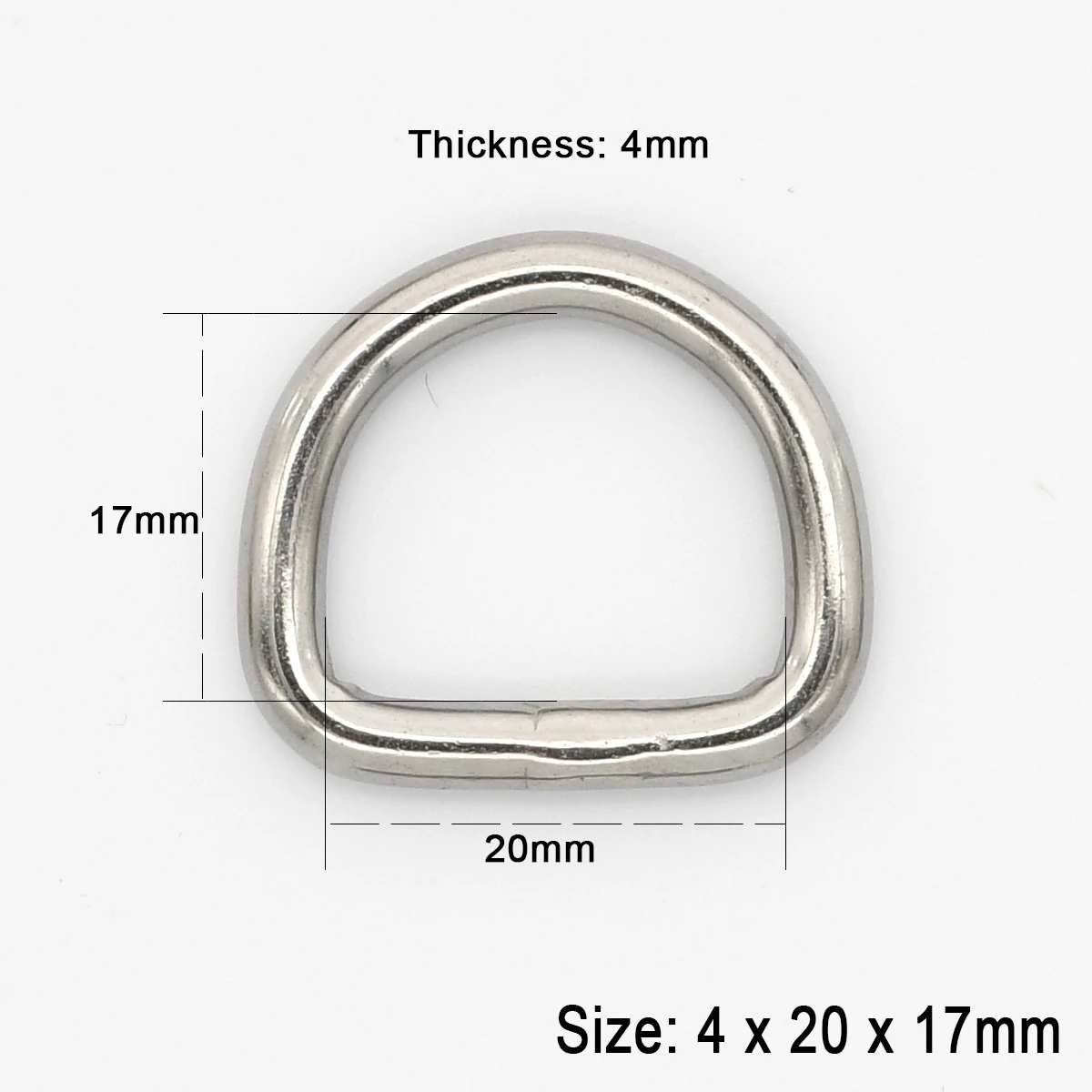 Stainless Steel Dee D Ring Buckle for Bags, Straps, and Leather Crafts