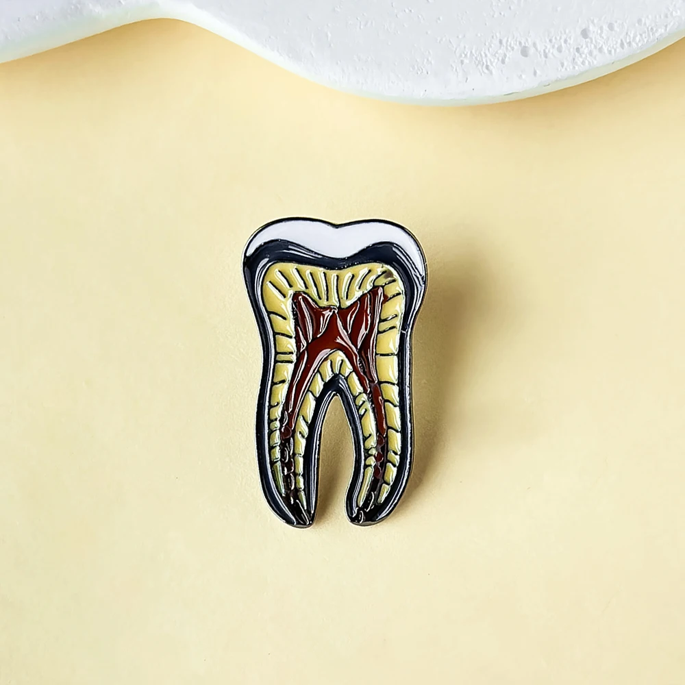 Dental Model Anatomy Lapel Badge Brooch Enamel Needle Dental Dentist Accessories Jewelry Creative Gift