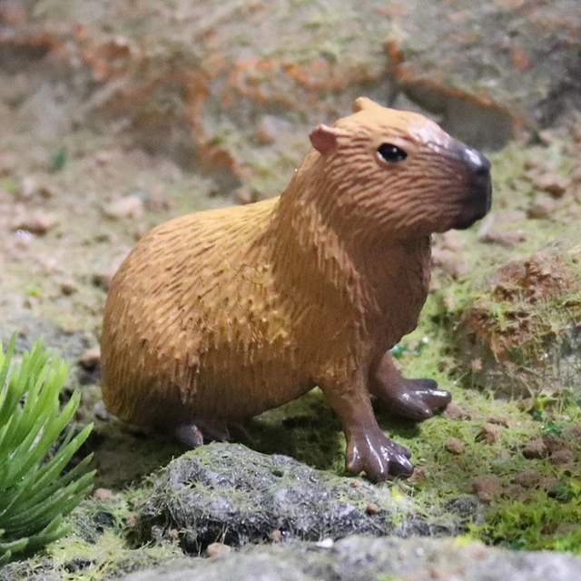 Capybara Figurine Spielzeug Cartoon Sitzen/Stehend Capybara Spielzeug Figur  Wilden Authentische Tiere Figurine Vorschule Pädagogisches Spielzeug -  AliExpress