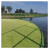 Clean up the river surface garbage duckweed leaves floating debris sewage net water grass shrimp field fishing ponds and fish po 1