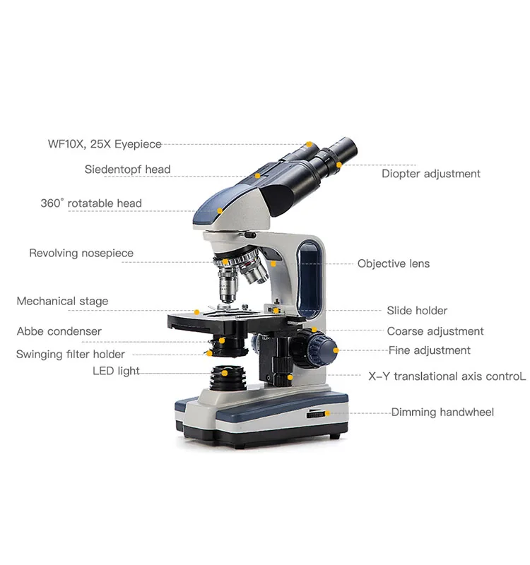 SWIFT SW380B Microscope Binoculaire Professionnel 40X-2500X avec tête  Siedentopf et l'oculaires 10X et 25X
