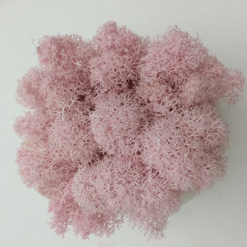 Affordable Artificial Moss Grass for DIY Crafts and Home Decor
