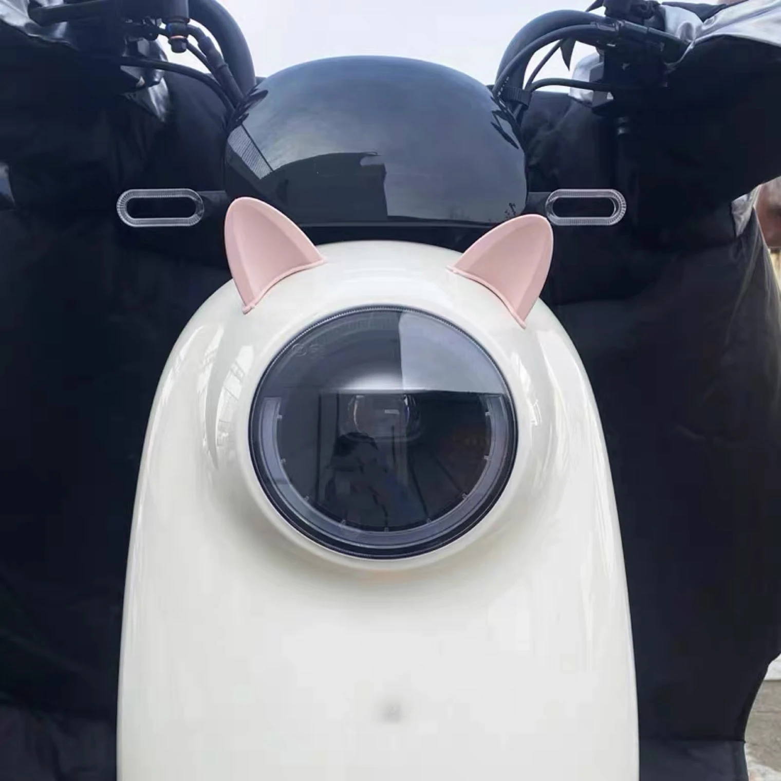 Рисунок 4 - Универсальный шлем с кошачьими