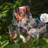 1Roll 2M Tape PET Flying Bird Die Cutting Handbook Decorative Material Loop Sticker Adhesives Scrapbooking cut 50mm*2M 1
