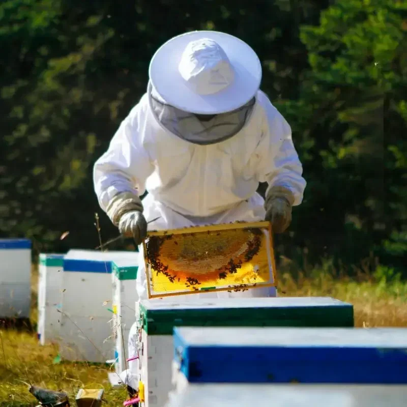 Full Body Beekeeping Suit Professional Beekeepers Clothes With Round Veil Cotton Protective Bee Proof Outfit For Men Women