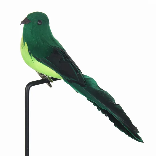 Image 11