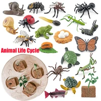 Animal Life Cycle Board Children Toys Montessori Teaching Aids Plant Animal Growth Cycle Model Set preschool cognitive Toys 1