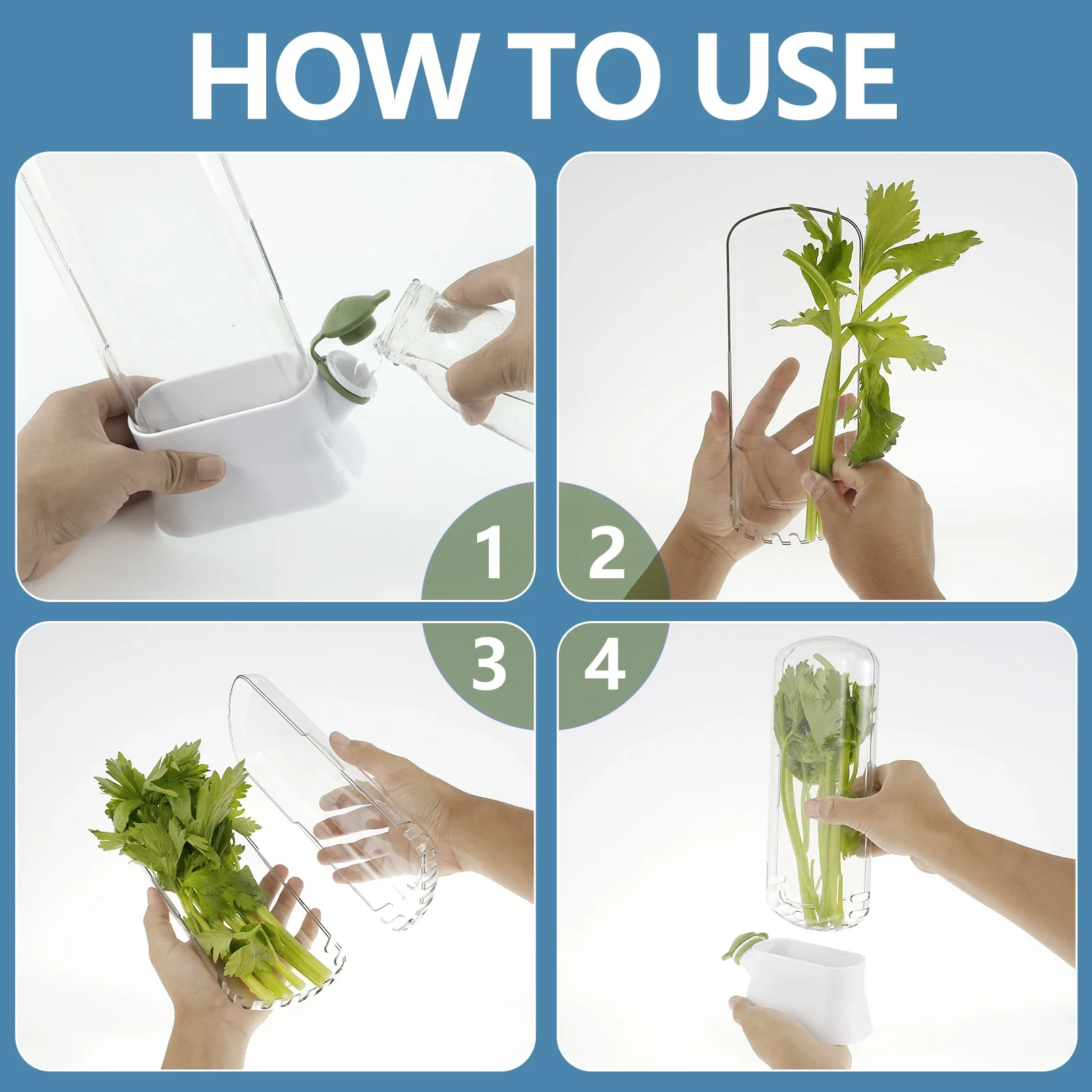 Refrigerator Herb Saver Storage Container 6