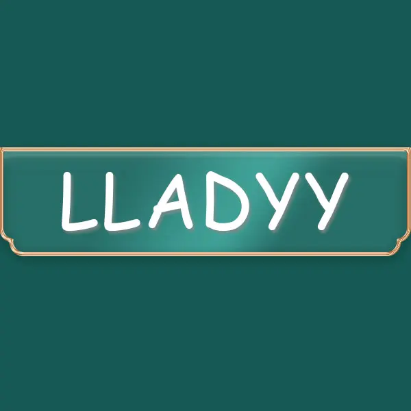 LLADYY Store