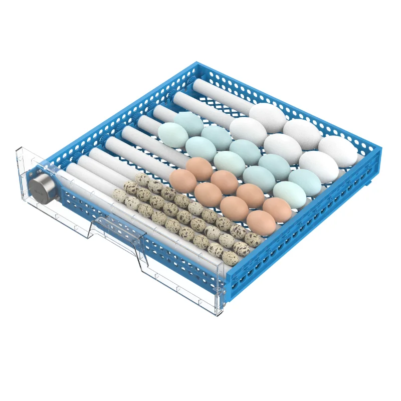 300 Eggs Incubator Hatcher Duck  Fully Automatic Incubators and Hatching