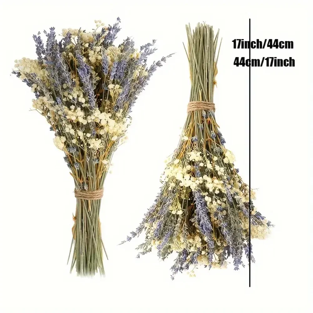 Flores Secas De Lavanda De Adorno 50 Piezas | Cuotas Sin Interés
