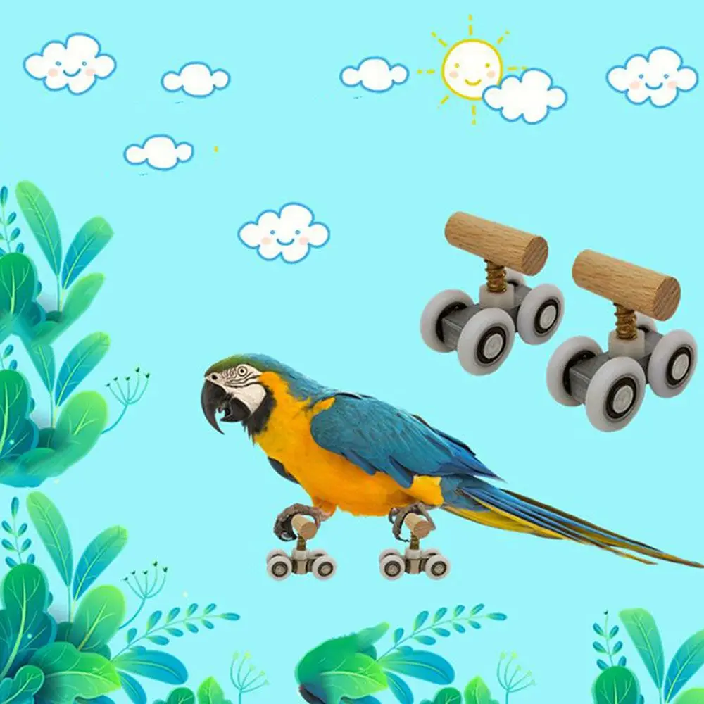 

Training Roller Ice Skates for Small Medium Parrots Parrot Roller Skate Parrot Trick Tabletop Puzzle Toys Birds Accessories
