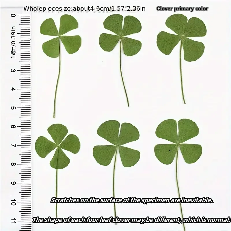 Clover postcard 15Pcs Lucky Simulation Four-Leaf Clover Postcards Shamrock Stems Transparent Wishing Cards Bookmarks & Decorations