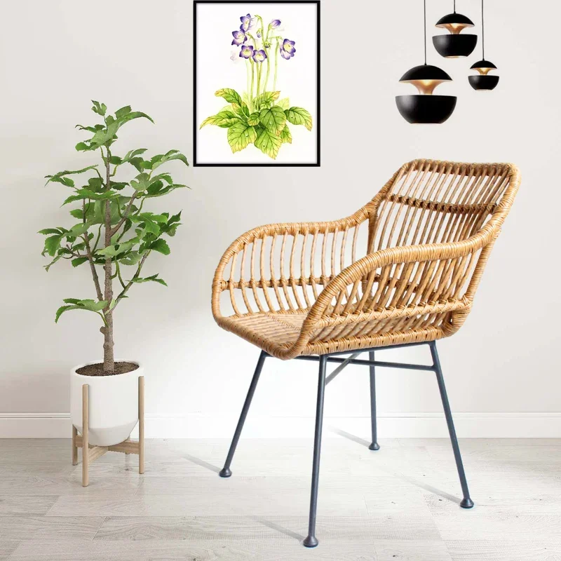 

Rattan Dining Chairs Kitchen Furniture Armchair Rattan Chair Modern Minimalist Leisure Outdoor Nordic for Kitchen Designer Chair