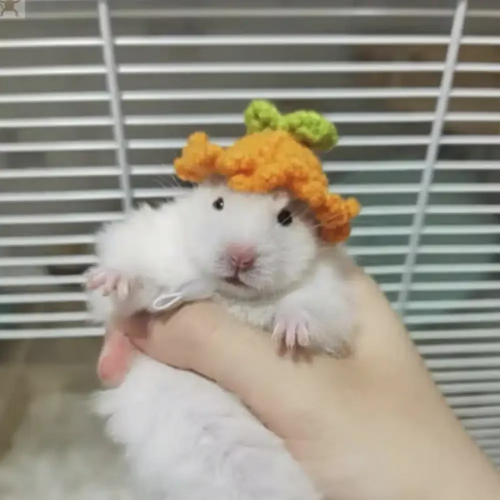 thumbnail image 1 of Mini gorro de punto para pájaro, bonito gorro de punto hecho a mano, divertido gorro para loro, accesorios para conejillo de indias y hámster, suministros para pájaros, gorro para mascota pequeña, 1 of 5