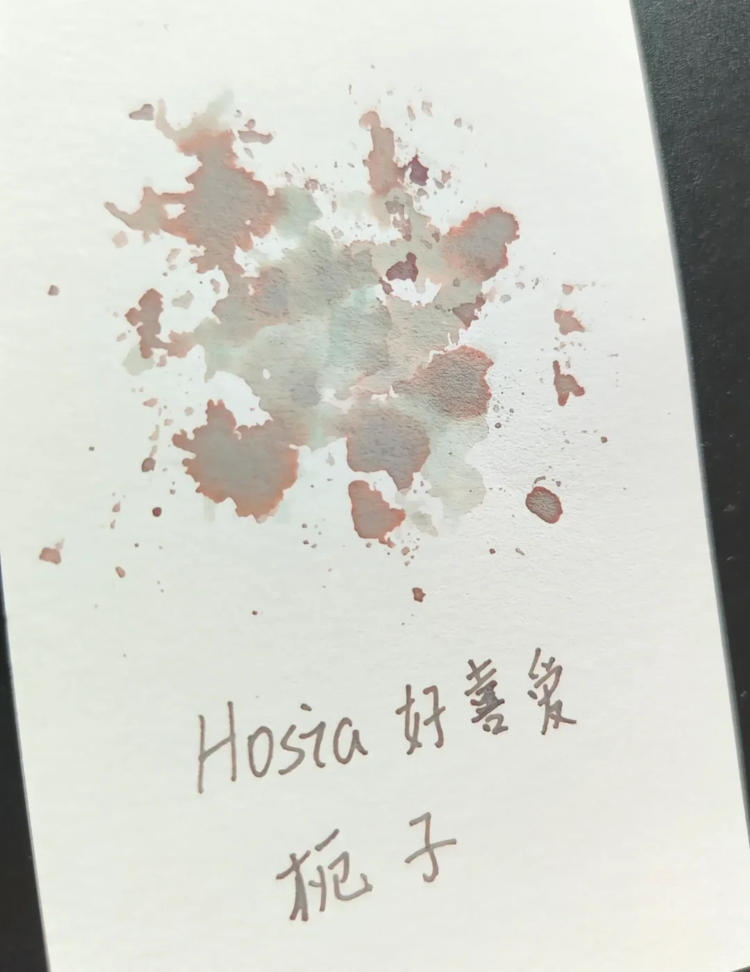 호시아 크로마토그래피 쓰기, 드로잉 잉크 30ml