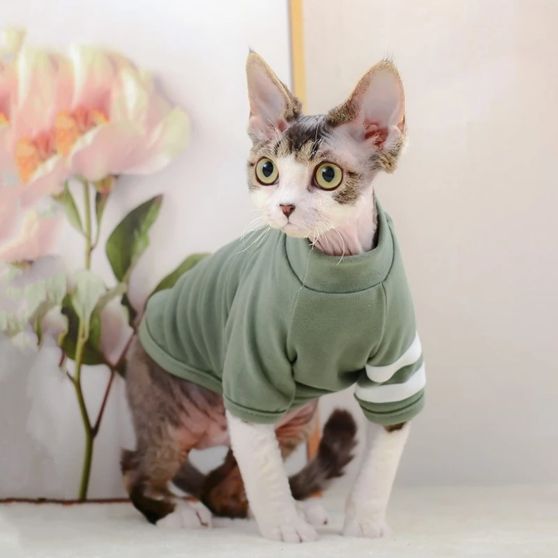 Green Cat Sweater Green Cat Clothes Green Sphynx Clothes 