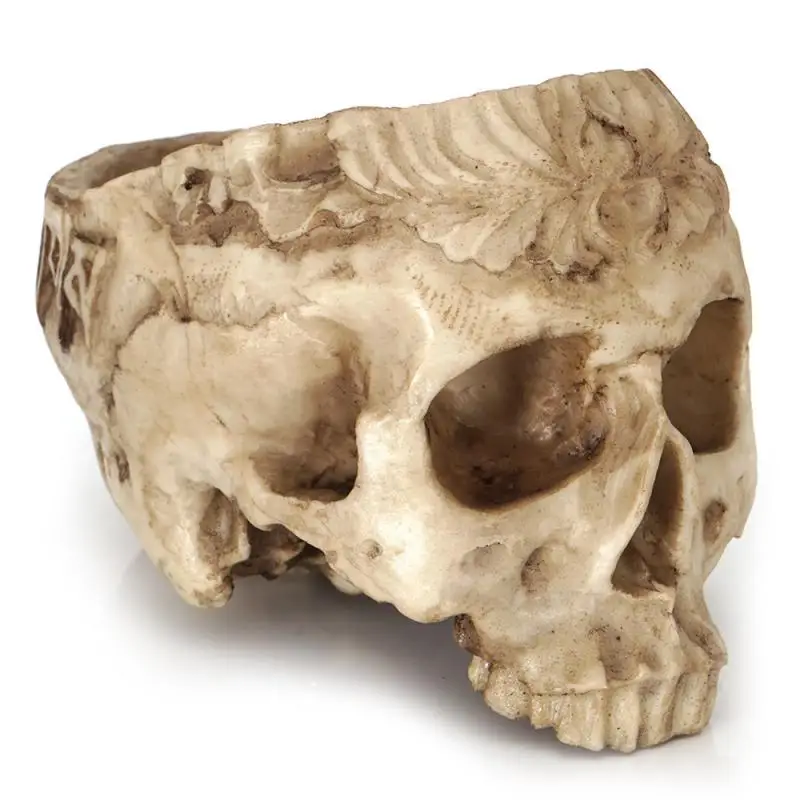 

Индивидуальный цветочный горшок с черепом, суккуленты, мясистый цветочный горшок с черепом для гостиной, персонализированный цветочный горшок и украшение для посадки