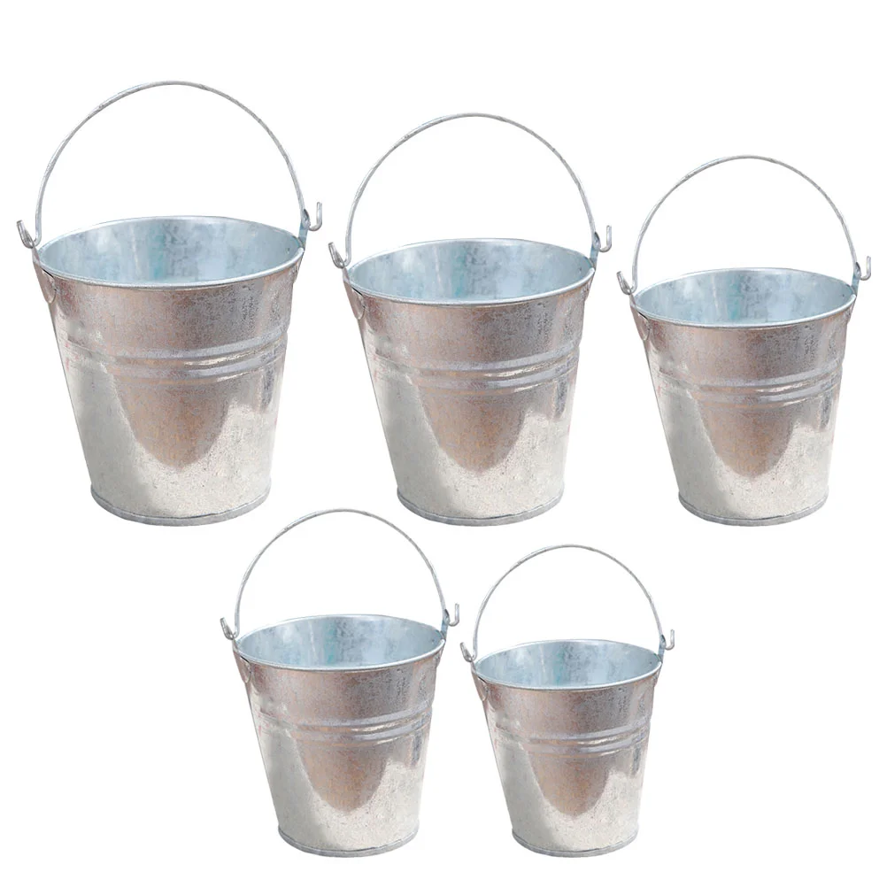 

5 Pcs Decorations Tin Bucket Multi-function Galvanized Mini Desktop Flowerpot Succulent Supply Child