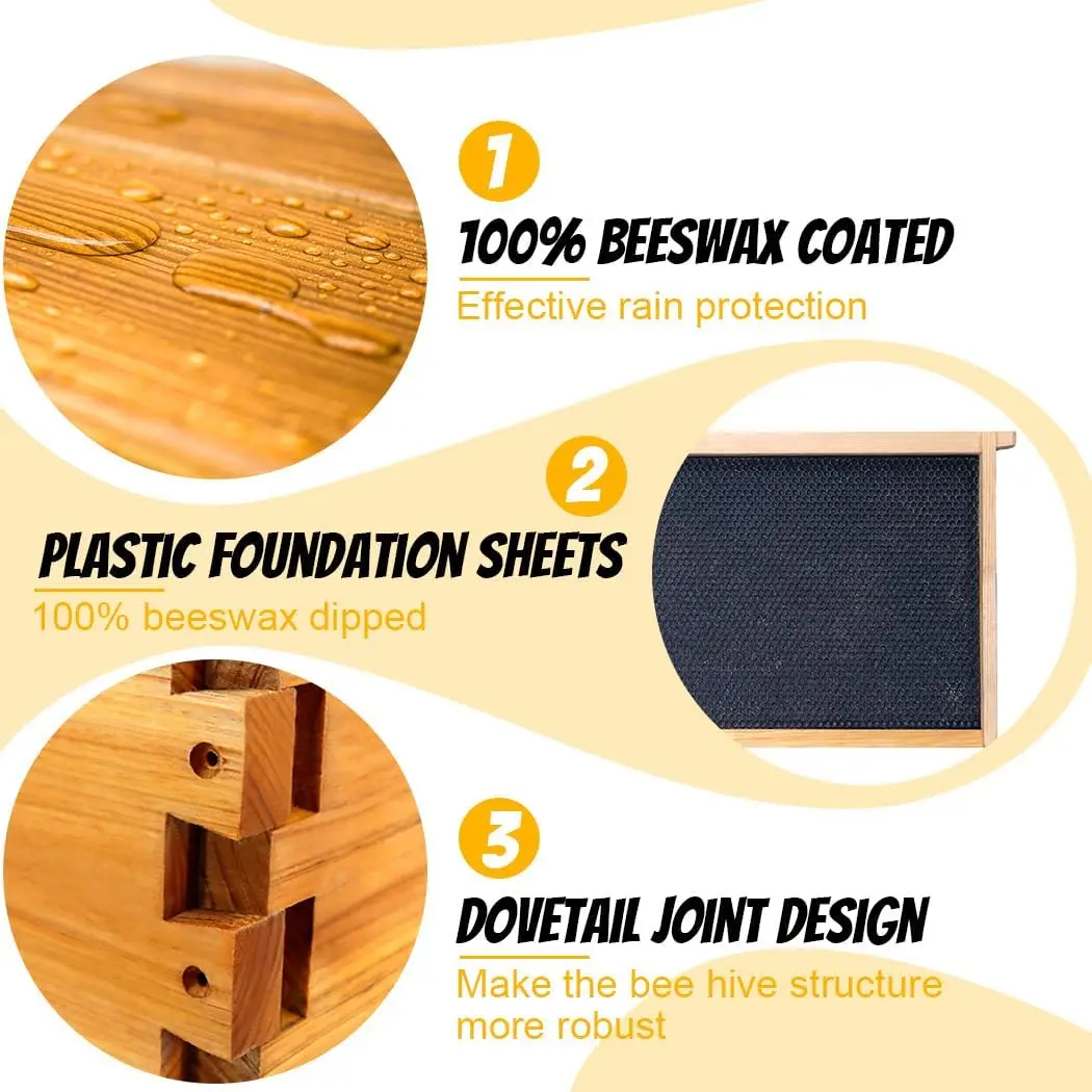 Langstroth Complete Beehives Starter Kit Includes 2 Deep Brood Box and 2 Medium Super Box 2
