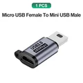 1x Micro to Mini