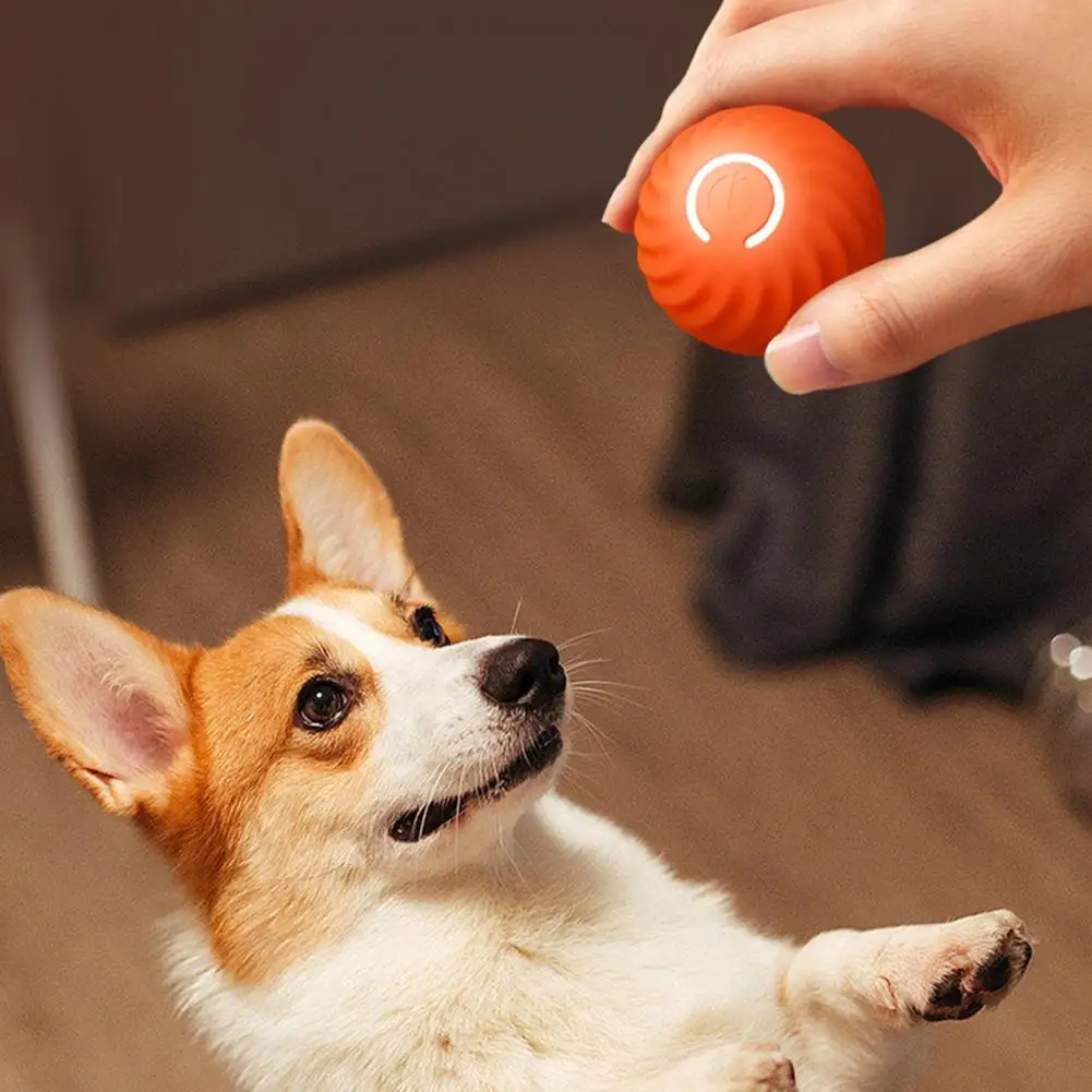 

Engaging Pet Ball Toy for Dogs Dog Toy Jumping Ball for Active Play Bite-resistant Rolling Ball for Small Dogs Fun Pet for Dogs