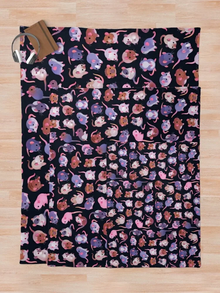 ���� �� ��ο� ������ ���, ķ�� ��� ���� �̺� ���