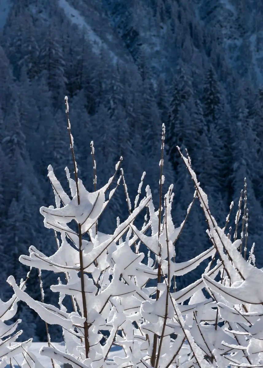 thumbnail image 1 of Fotografía de paisaje de montaña estilo Chamonix montañas nevadas sol arte póster lienzo pintura pared impresiones imagen decoración del hogar, 1 of 5