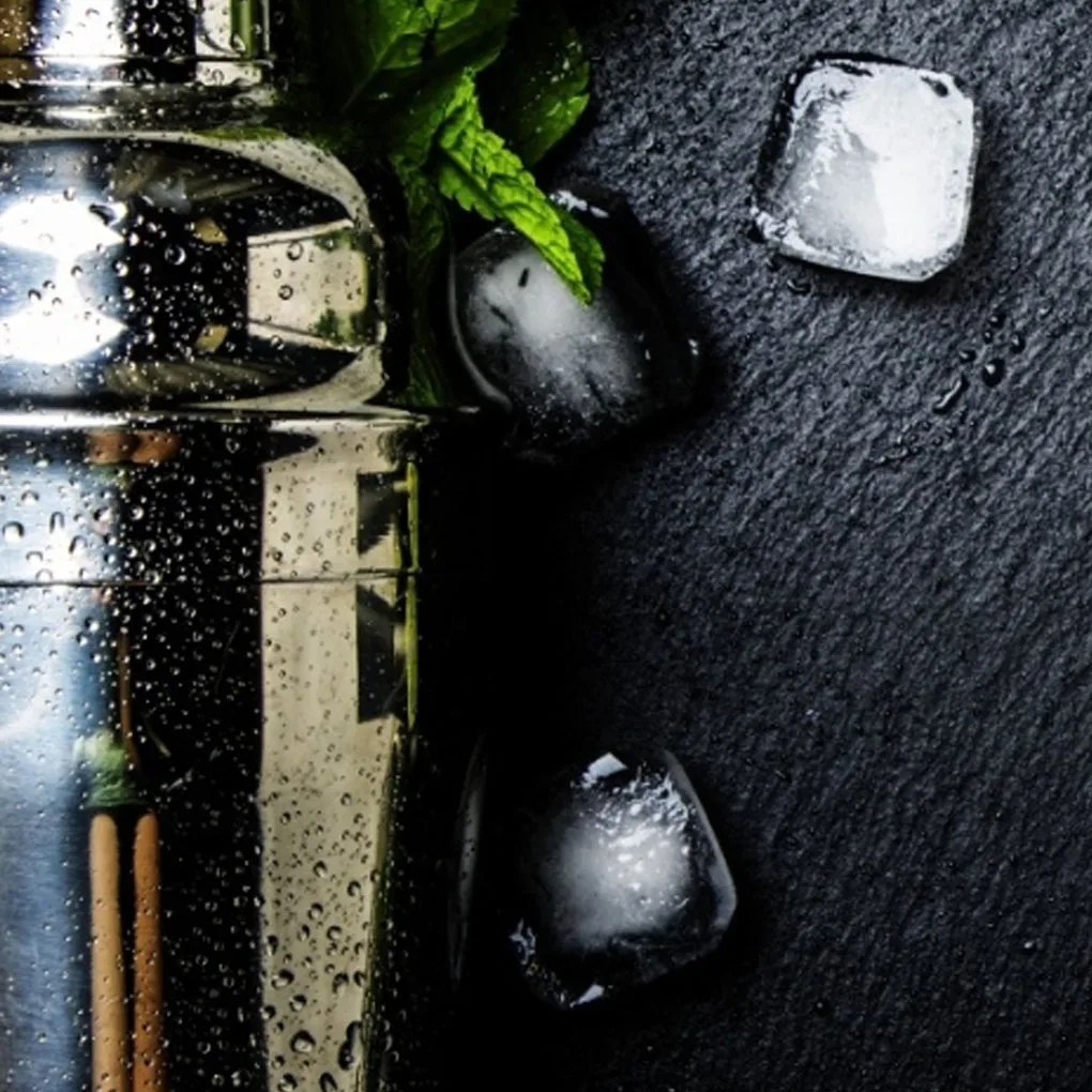Professional Cocktail Shaker