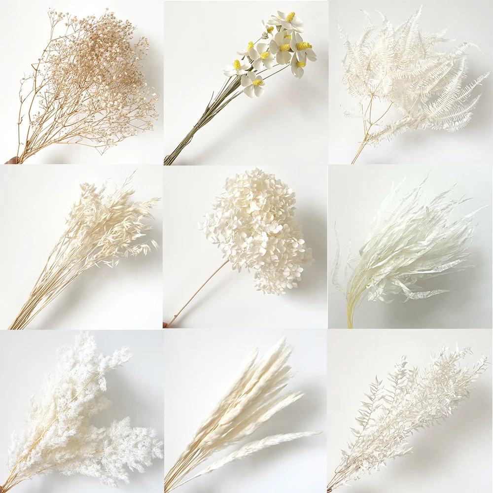 Artificial Flower Decoration Dried Flowers White White Dried