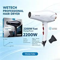 WETECH Sèche-cheveux professionnel ionique négatif 2200W, double tension 100-240V, air chaud et froid réglable, avec buse concentratrice, outil de coiffure pour salon et maison 8