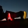 100Cm Led Horse Tail Decorative Light Strip, Horse Tail Usb Light Decorative Strip, Equestrian Outdoor Sports Night Riding Gear