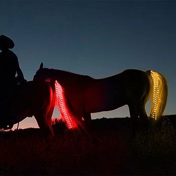 Striscia luminosa decorativa a coda di cavallo a led da 100 cm, striscia decorativa con luce USB a coda di cavallo, attrezzatura per guida notturna per sport all'aria aperta equestri
