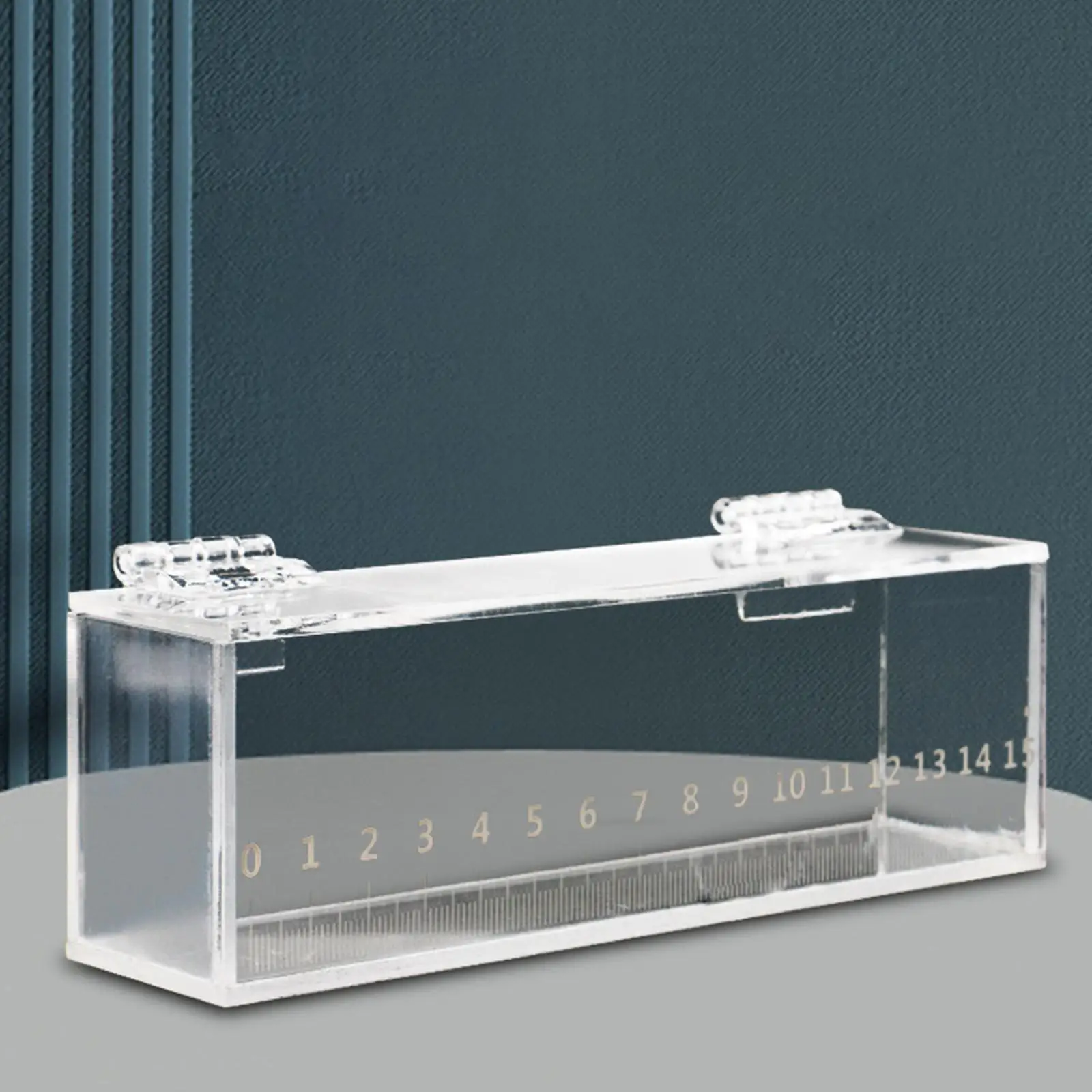 Fish Viewing Box Acrylic Outdoor Indoor Micro Landscape Fish tanks fishing Photo Tank Breeding Tanks Photo Box with Scale fish aquarium